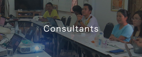 consultants